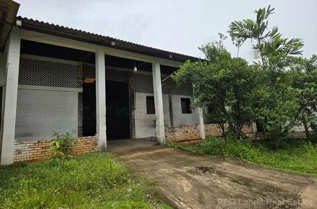 (TCR85) Warehouse for Rent in Dompe - Image 3