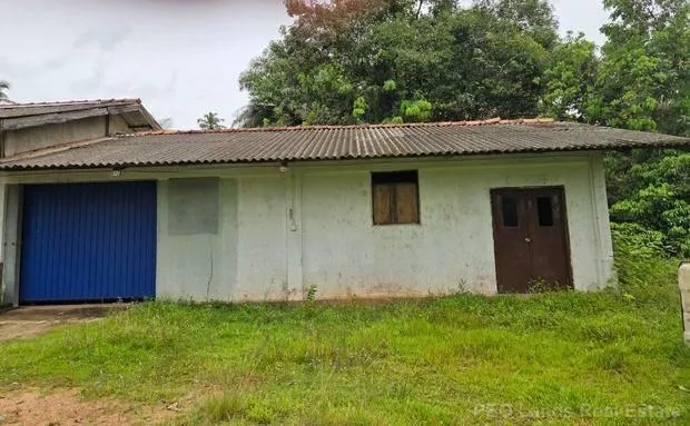 (TCR85) Warehouse for Rent in Dompe - Image 4